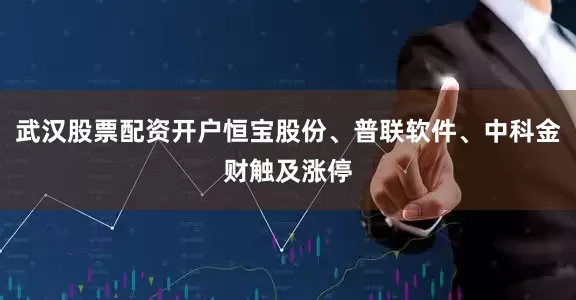 武汉股票配资开户恒宝股份、普联软件、中科金财触及涨停