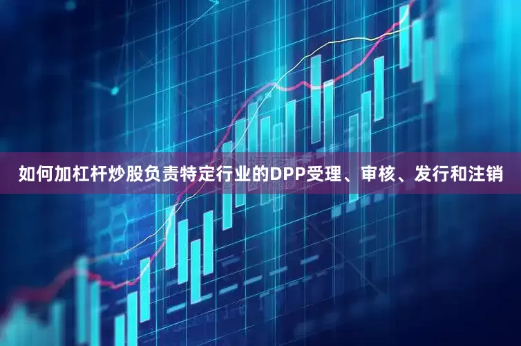 如何加杠杆炒股负责特定行业的DPP受理、审核、发行和注销