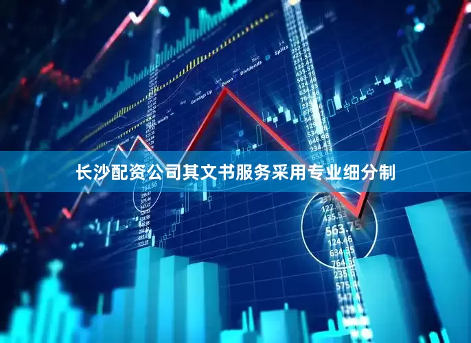 长沙配资公司其文书服务采用专业细分制