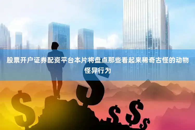 股票开户证券配资平台本片将盘点那些看起来稀奇古怪的动物怪异行为