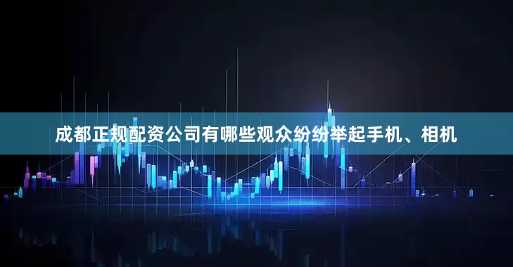 成都正规配资公司有哪些观众纷纷举起手机、相机